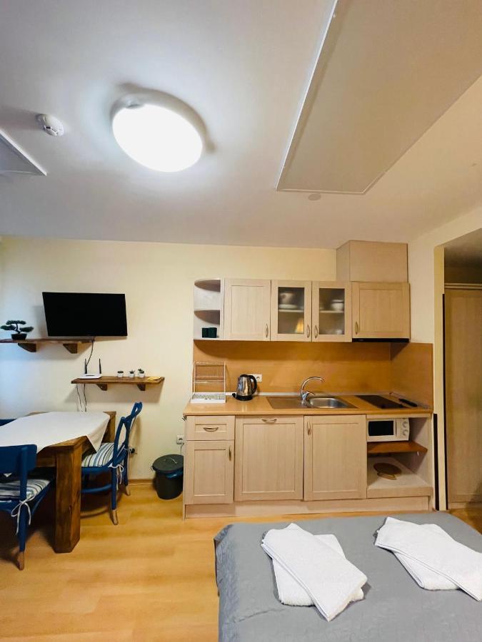 בורובץ Studio Kris Villa Park מראה חיצוני תמונה