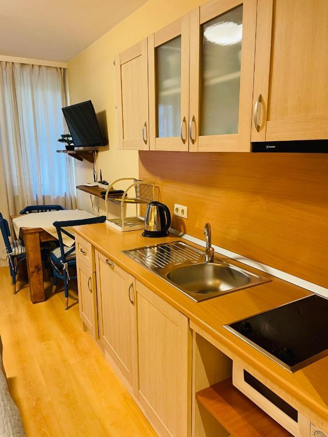 בורובץ Studio Kris Villa Park מראה חיצוני תמונה